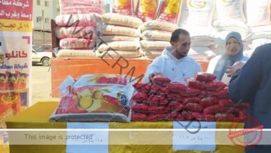 وزارة التموين تنظم " سوق اليوم الواحد" بمدينة طنطا بمحافظة الغربية اليوم