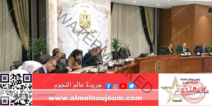 رئيس الوزراء يلتقي عدداً من مسئولي الشركات الإماراتية لمناقشة مشروعات استثمارية