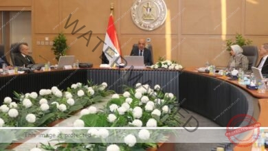 عصمت: التشغيل الاقتصادي للمنظومة وتحسين معدلات الأداء ومواجهة الفقد الفنى والتجاري وخفض استهلاك الوقود 