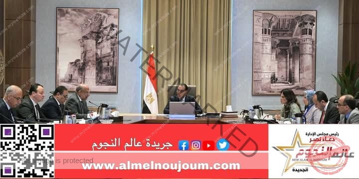 رئيس الوزراء يُتابع الموقف التنفيذي لعدد من مشروعات قطاع الكهرباء