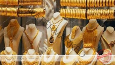 سعر الذهب عيار 24 ارتفع سعر جرام الذهب عيار 24 إلى مستوى 4331 جنيها للجرام، بدون احتساب المصنعية التي تتراوح بين 120 وحتى 150 جنيهًا. حيث يُعتبر هذا النوع من الذهب الأكثر انتشارًا في دول الخليج العربي بسبب نقاوته العالية. سعر الذهب عيار 21 صعد سعر جرام الذهب عيار 21 بنحو 5 جنيهات، ليصل عند مستوى 3790 جنيه للجرام، بدون إضافة المصنعية، والتي تتراوح بين 80 وحتى 120 جنيهًا. حيث يُعد هذا العيار الأكثر تداولًا وشعبية في مصر. سعر الذهب عيار 18 بلغ سعر جرام الذهب عيار 18 نحو 3248 جنيها، بدون احتساب المصنعية التي تتراوح بين 60 وحتى 80 جنيهًا. حيث يتميز هذا العيار بشعبية واسعة لدى شريحة كبيرة من المستهلكين داخل مصر. سعر الجنيه الذهب سجل سعر الجنيه الذهب ارتفاعًا بنحو 40 جنيهًا في محلات الصاغة، حيث يتراوح الآن عند مستوى 30320 جنيها بدون إضافة المصنعية التي تصل إلى حوالي 300 جنيه في محلات الصاغة.