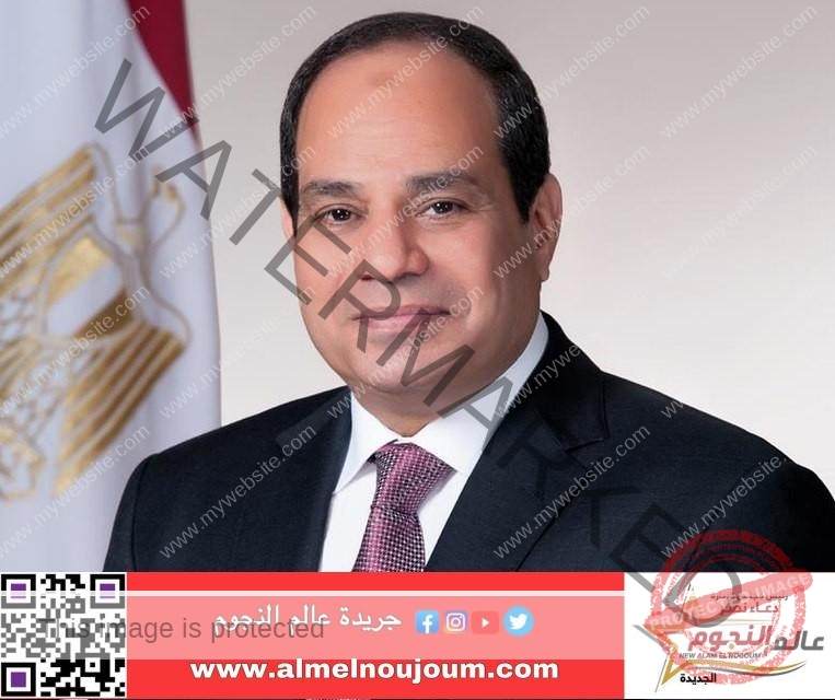 الرئيس السيسي يستقبل رئيس الوزراء كيرياكوس ميتسوتاكيس"