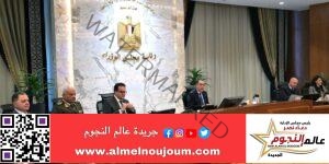 رئيس الوزراء: رسائل مهمة فى كلمة الرئيس السيسي خلال مشاركته في احتفالات عيد الميلاد المجيد بكاتدرائية ميلاد المسيح