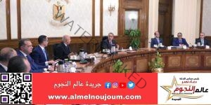 مدبولي يتابع الموقف التنفيذي للإفراج الجمركي عن البضائع وتطبيق منظومة التسجيل المسبق للشحنات