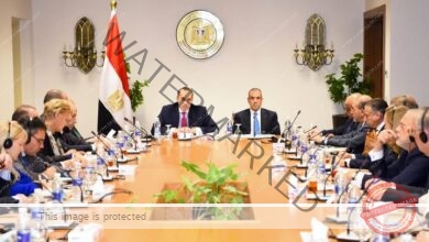 وزير الخارجية والهجرة يلتقى مع سفراء دول الاتحاد الأوروبى المعتمدين في مصر