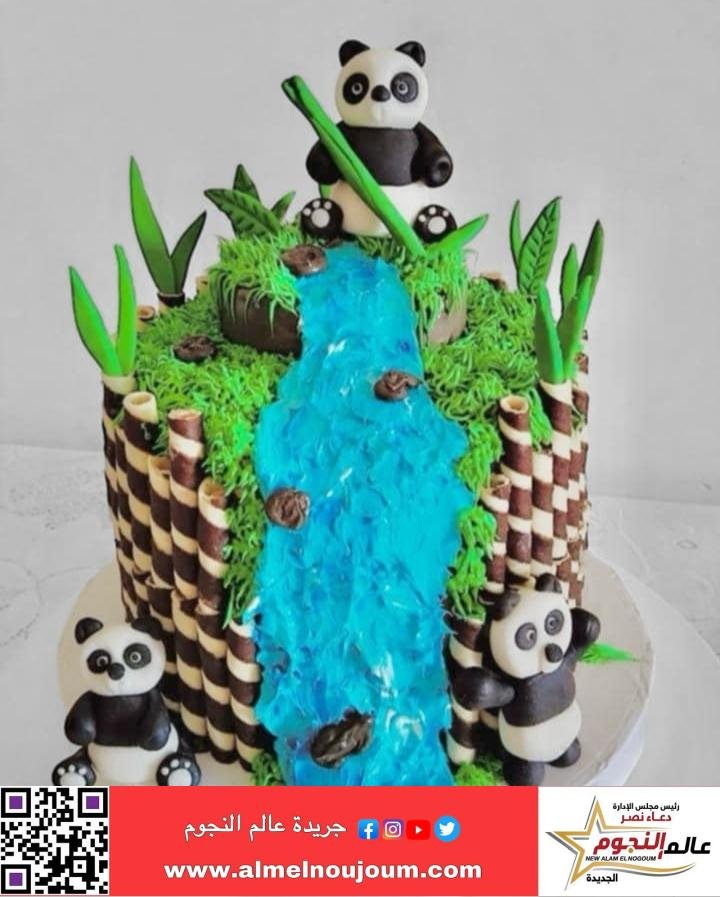 رحاب عمر من شغف الطفولة إلى نجمة تصميم الكيك في Roby Cake