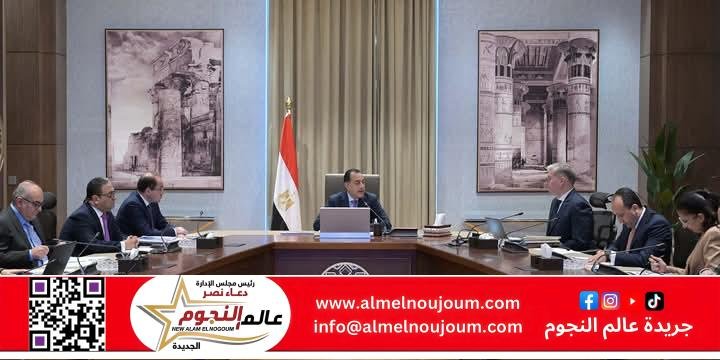 رئيس الوزراء يتابع عددًا من ملفات العمل المشتركة بين وزارتي المالية والبترول والثروة المعدنية