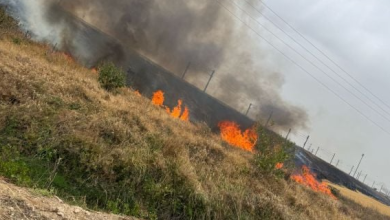 النيران تشتعل في سكك حديد إسرائيل وتعطل حركة القطارات