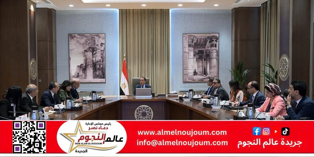 رئيس الوزراء يتابع موقف الطروحات في قطاع الطاقة