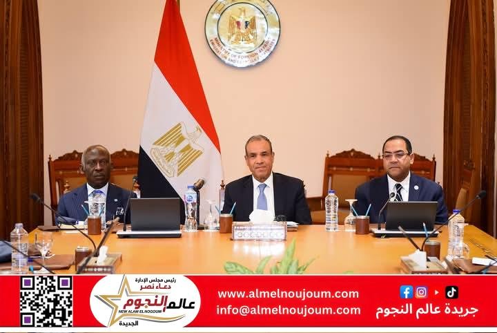 وزير الخارجية والهجرة يستقبل أعضاء اللجنة التنفيذية للرابطة الإفريقية للإدارة العامة في مصر