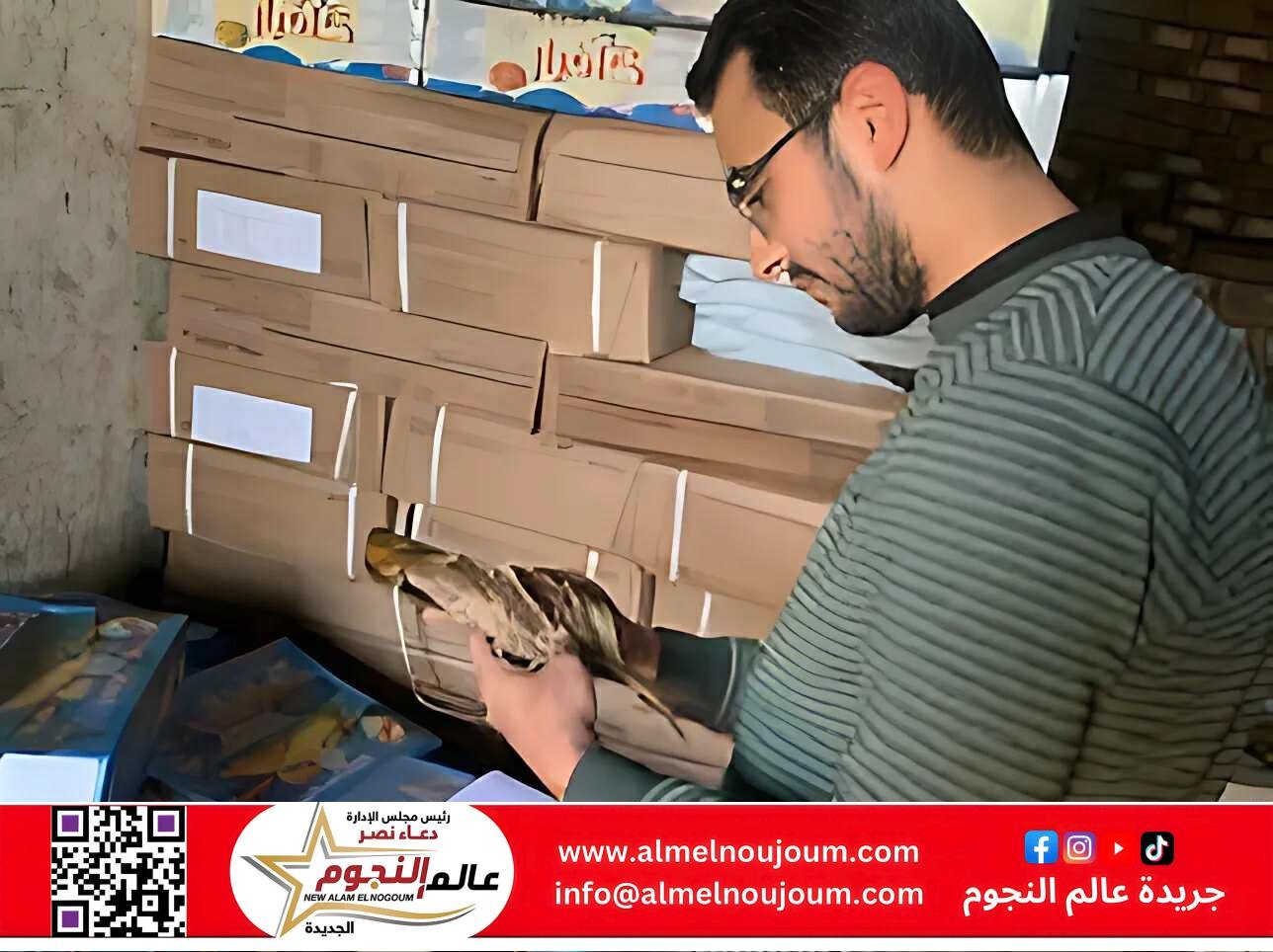 ضبط 6 أطنان فسيخ ورنجة فاسدة في الغربية خلال حملات رقابية مكثفة