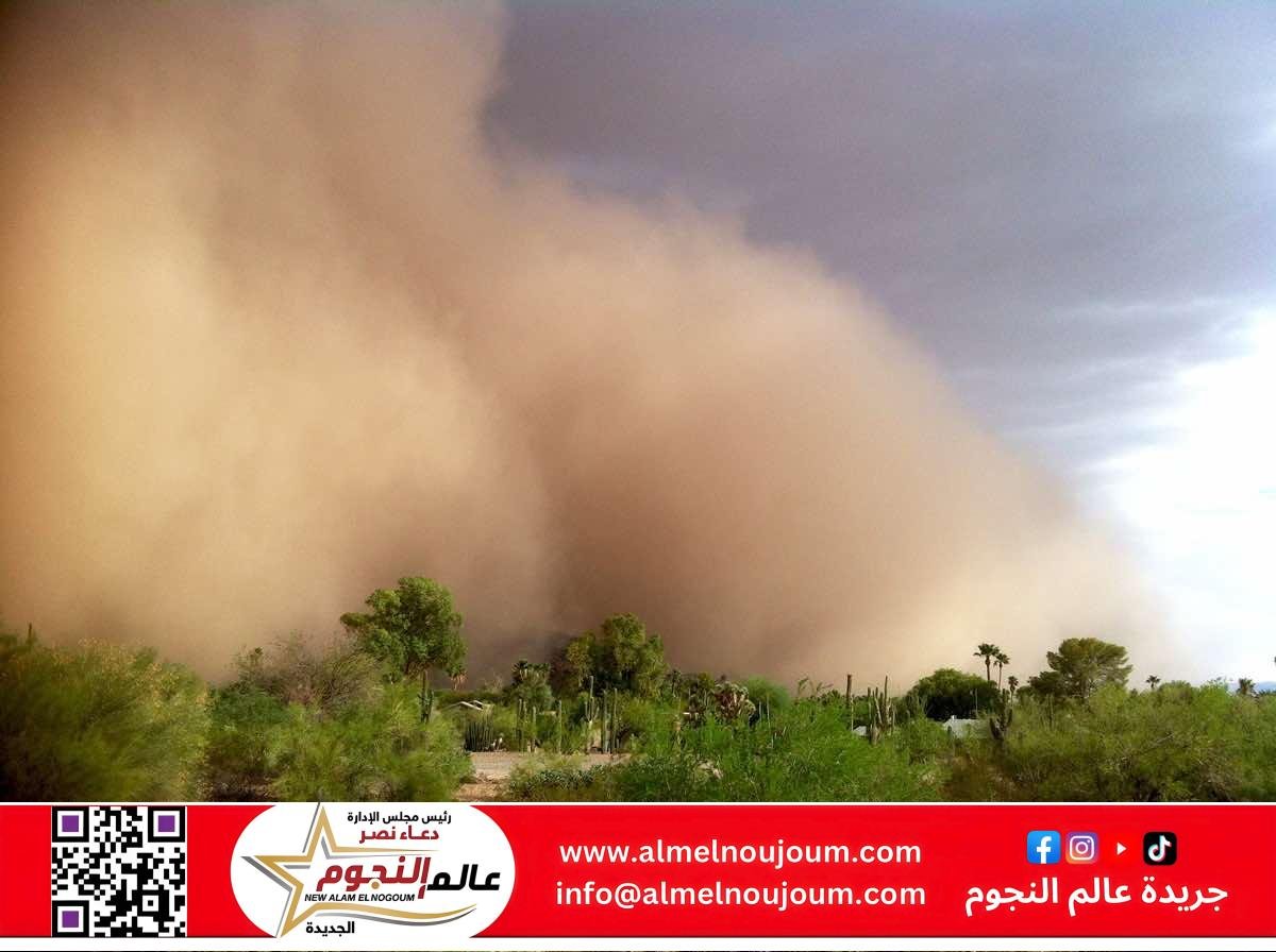 عاصفة ترابية وأمطار رعدية تضرب مصر غدًا: الأرصاد تحذر المواطنين من الخروج إلا للضرورة
