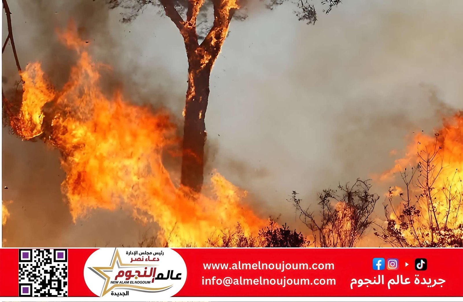 روسيا ترسل طائرات إلى إيران للمساعدة في إخماد حريق ميناء رجائي
