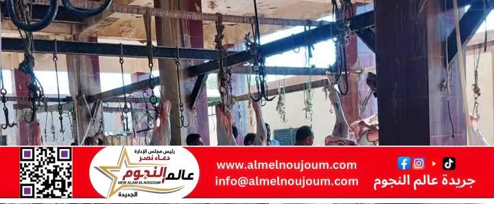 محافظ أسوان يكلف مسئولى الطب البيطرى لتحقيق الجاهزية الكاملة داخل 13 مجزر 