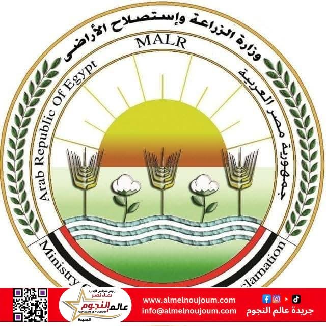 "الزراعة": هناك متابعة مستمرة لجميع مزارع الدواجن ولم يتم تسجيل حالات نفوق والتحصينات متوفرة 2 "الزراعة": هناك متابعة مستمرة لجميع مزارع الدواجن ولم يتم تسجيل حالات نفوق والتحصينات متوفرة