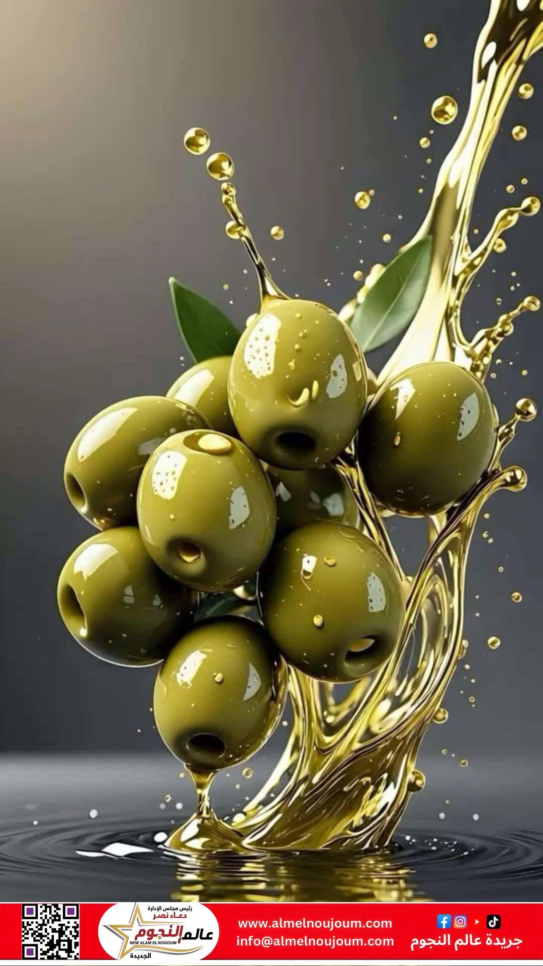 الزيتون الأخضر.. ثمرة صغيرة بفوائد عظيمة لصحة الجسم