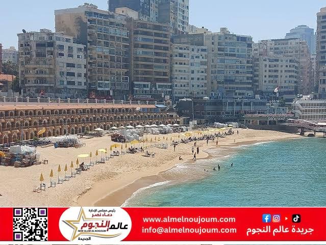إعلان عن طرح مزايدات علنية عامة بمحافظة الإسكندرية