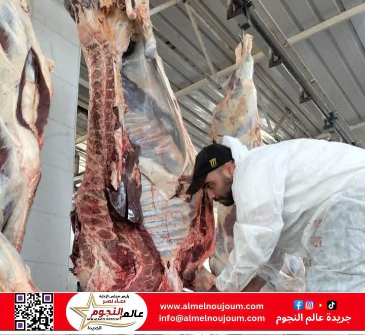المجازر الحكومية تواصل أعمال الكشف والذبح للأضاحي على مدار اليوم بالمجان 2 المجازر الحكومية تواصل أعمال الكشف والذبح للأضاحي على مدار اليوم بالمجان
