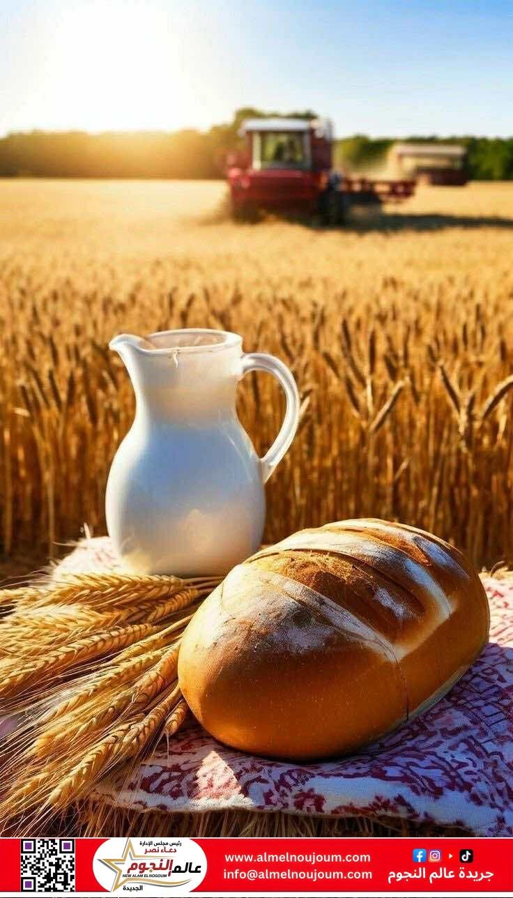 فوائد دقيق الشعير في المخبوزات: بديل صحي يعزز القيمة الغذائية