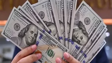 استقرار طفيف في أسعار العملات مقابل الجنيه المصري اليوم الجمعة 19 سبتمبر 2025