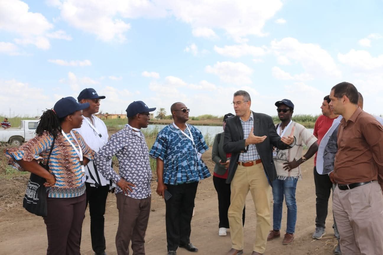 "مصر تعزز التعاون الإفريقي في الاستزراع السمكي".. بإنطلاق أول برنامج تدريبي دولي