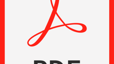 العدد خاص بمبادرة ساهم ساعد شارك لدعم أصحاب المشاريع الصغيرة بالإسكندرية