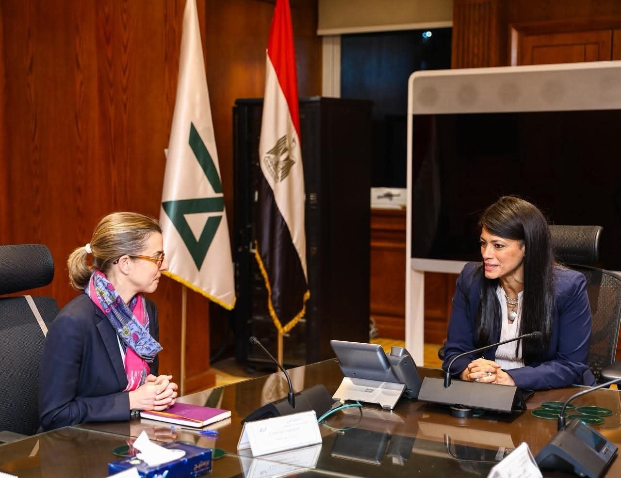 المشاط: آفاق الاقتصاد المصري إيجابية ونسعى لمزيد من التمكين للقطاع الخاص