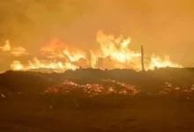 السيطرة على حريق بالغابة الشجرية غرب الغردقة دون إصابات.. والحماية المدنية تبدأ أعمال التبريد