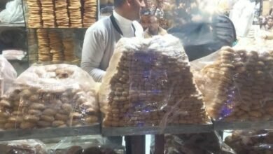 الصحة تُطلق حملة على المنشآت الغذائية بكفر سعد للتأكد من سلامة الأغذية