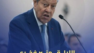 اليوم على شاشة النهار.. منير فخري عبد النور في حوار خاص مع لميس الحديدي بـ«الصورة»