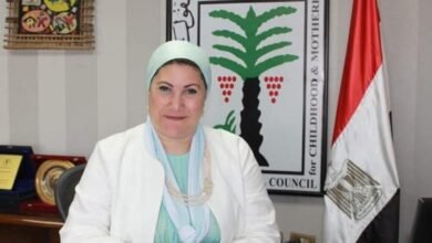 رئيسة المجلس القومي للطفولة والأمومة تتلقى تقريرًا عن حصاد عام 2025