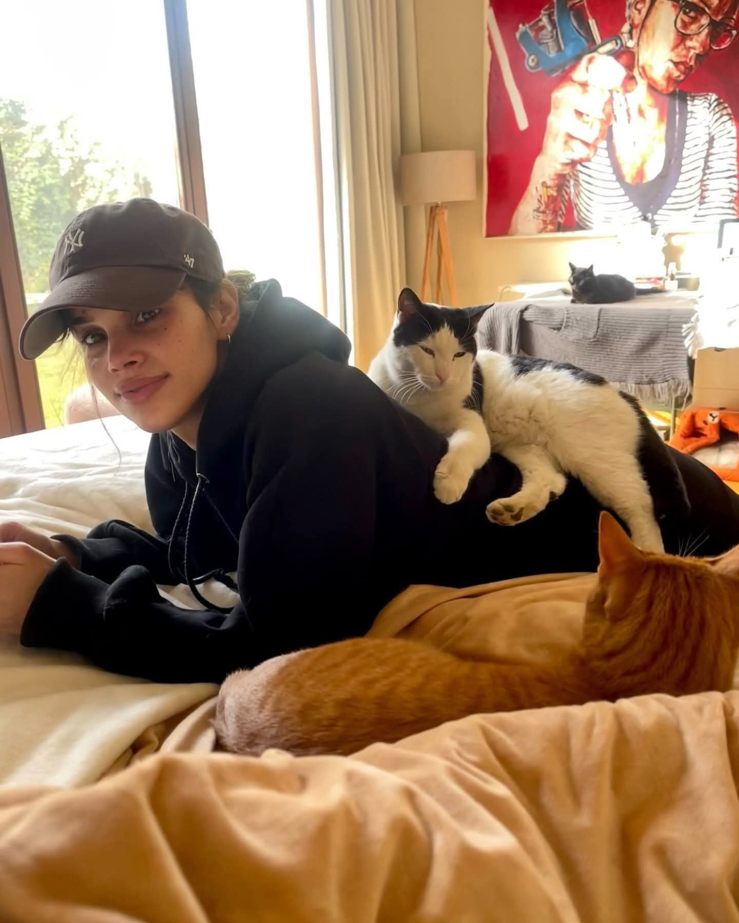 شيرين رضا تشارك متابعيها بصورة لابنتها نور ومجموعة من القطط: "أطفالي"