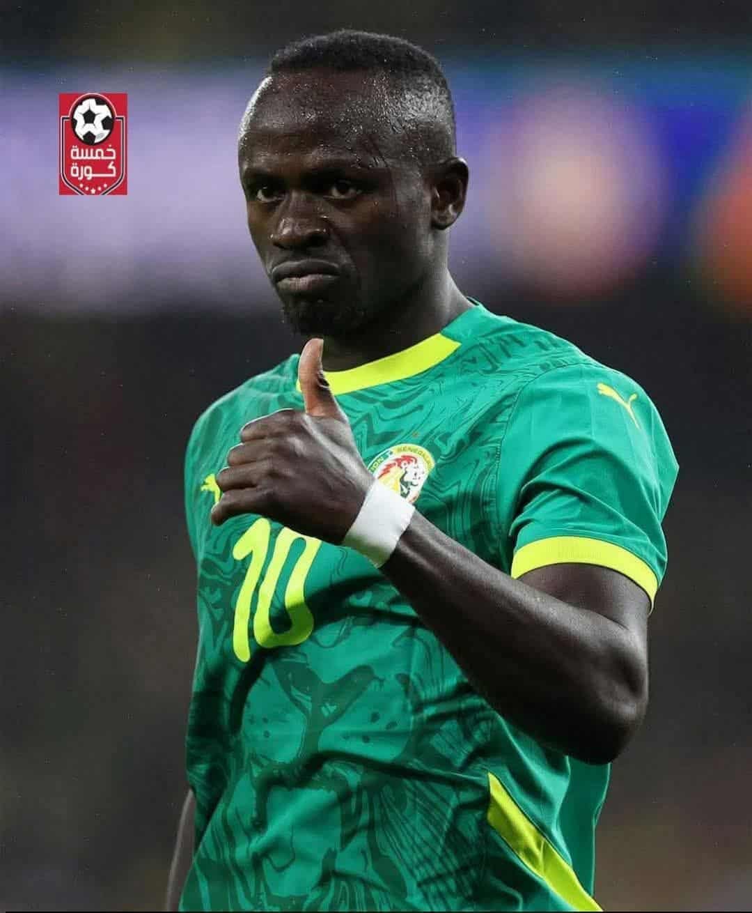 أسود التيرانجا يلتهمون أسود الأطلس وسط عرينهم