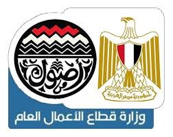 حصاد عام من إنجازات وزارة قطاع الأعمال العام في 2025 