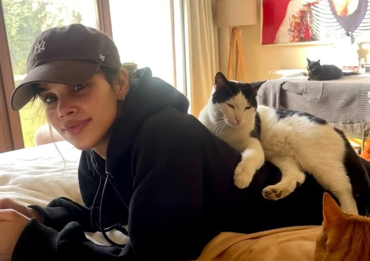 شيرين رضا تشارك متابعيها بصورة لابنتها نور ومجموعة من القطط: "أطفالي"