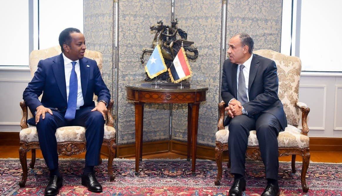 مشاورات مصرية صومالية لدعم الشراكة الاستراتجية بين البلدين