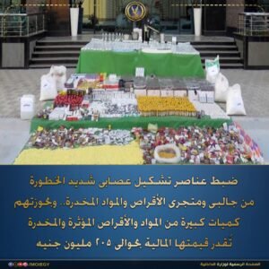 الداخلية تضبط تشكيلًا عصابيًا بحوزته 3 ملايين قرص مخدر بقيمة 205 ملايين جنيه