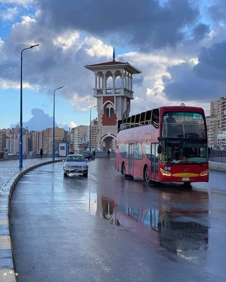 تحذير عاجل من رياح قوية في الإسكندرية.. المحافظة تدعو المواطنين لاتخاذ الاحتياطات اللازمة