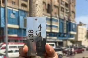 زراعة 9460 شجرة جديدة بالإسكندرية ضمن مبادرة 100 مليون شجرة