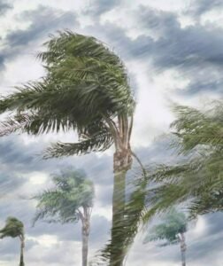 تحذير عاجل بسبب تقلبات الطقس: الكمامة واللقاح ضرورة لتجنب نزلات البرد والحساسية