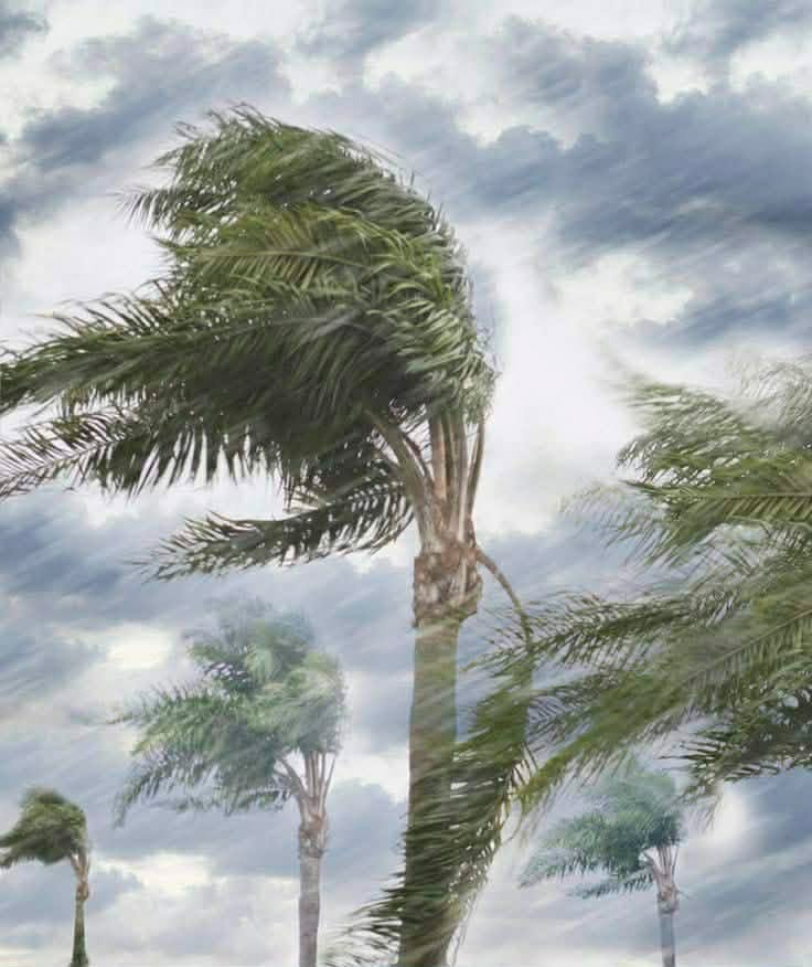 تحذير عاجل بسبب تقلبات الطقس: الكمامة واللقاح ضرورة لتجنب نزلات البرد والحساسية