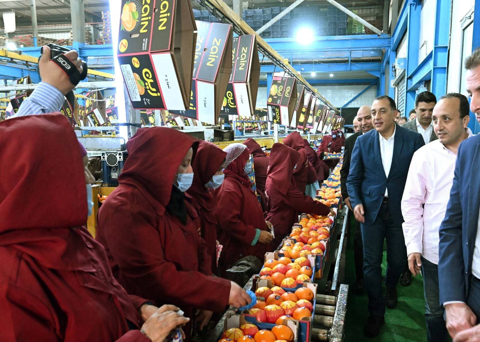 رئيس الوزراء يتفقد محطة الصواف لتعبئة الموالح والحاصلات الزراعية