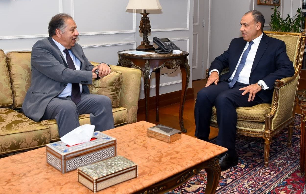 وزير الخارجية يستقبل رئيس لجنة الشئون الأفريقية بمجلس النواب