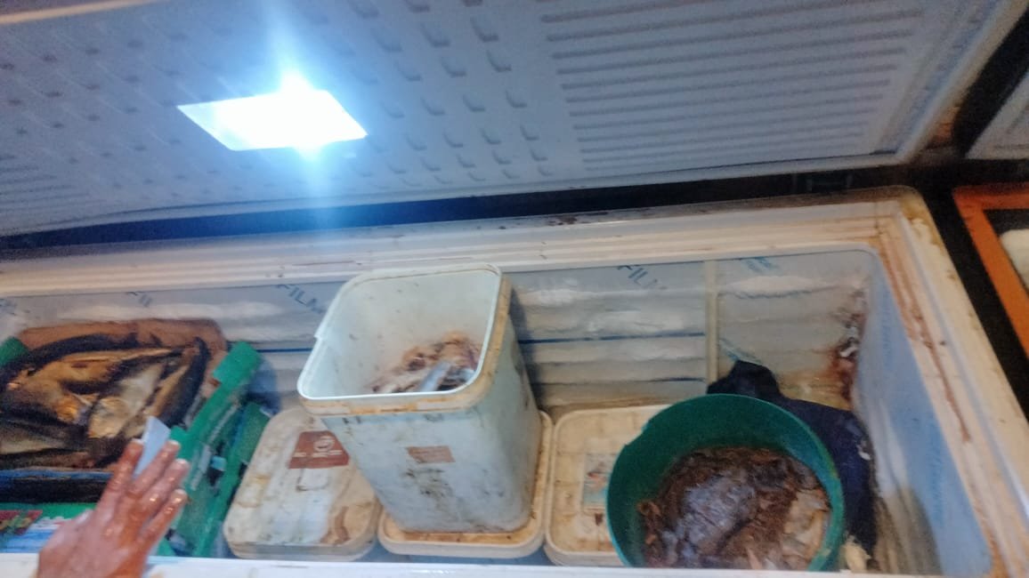 ضربة قوية للأسواق الفاسدة في الإسكندرية.. ضبط 350 كجم فسيخ غير صالح قبل تداوله للمواطنين