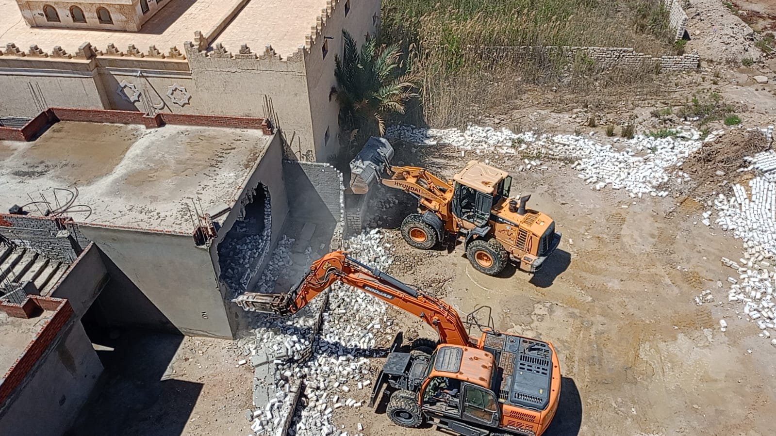 محافظ الإسكندرية يقود حملة