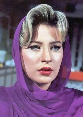 شيرين سيف النصر.. جمال هادئ ونجومية لا تُنسى في ذكراها الثانية