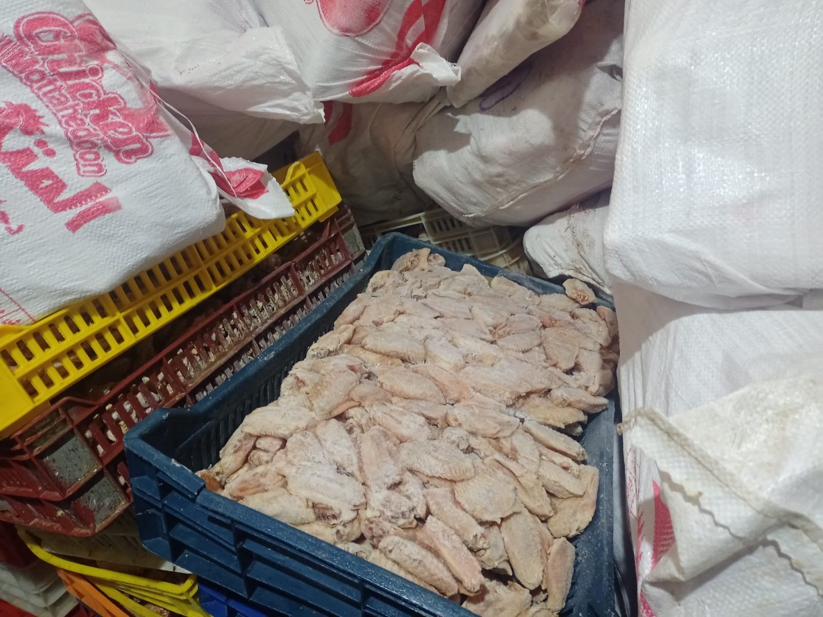 محافظ الإسكندرية: ضبط مايقارب 6 طن  دواجن غير صالحة للاستهلاك الآدمي 