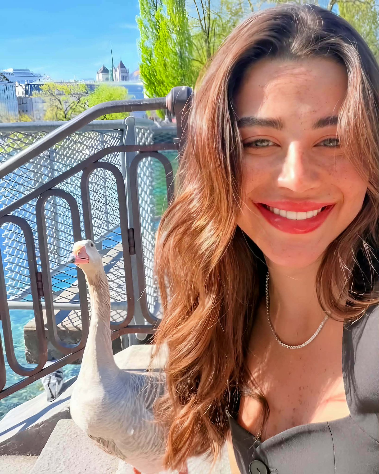 يارا السكري في سويسرا.. لحظة إنسانية مميزة مع طائر لطيف تخطف قلوب المتابعين