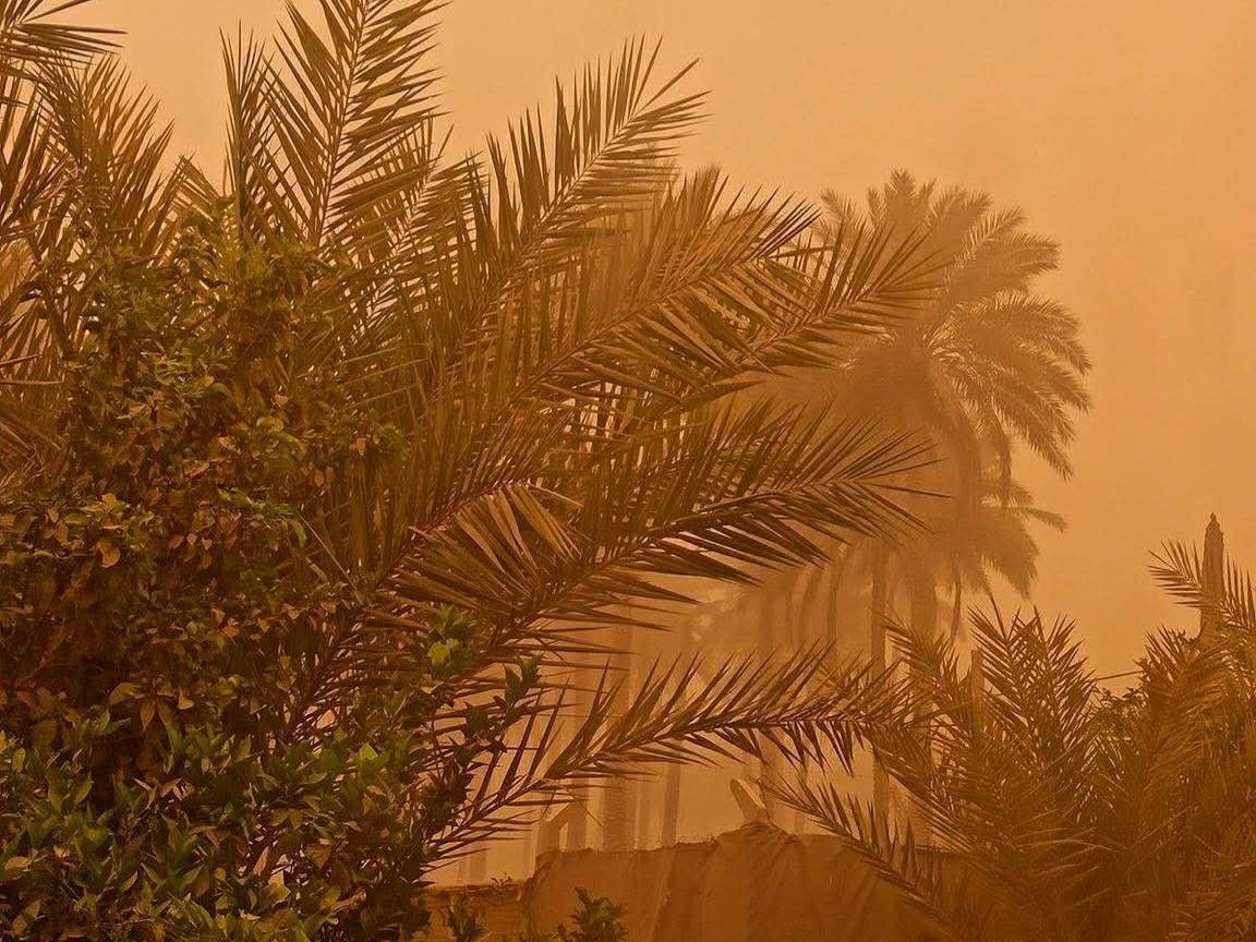 عاصفة ترابية تضرب القليوبية وتؤثر على مستوى الرؤية وتحذيرات مستمرة من الأرصاد