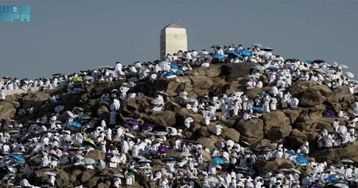 إجازة عيد الأضحى 2026.. عدد أيام العطلة للقطاعين العام والخاص 2 إجازة عيد الأضحى 2026.. عدد أيام العطلة للقطاعين العام والخاص